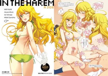 【エロ漫画】in the Harem A-side